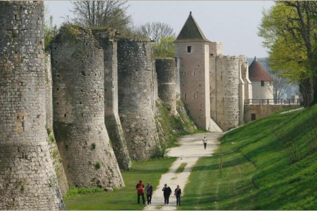 Maison De Ville, Centre De Provins Exteriör bild